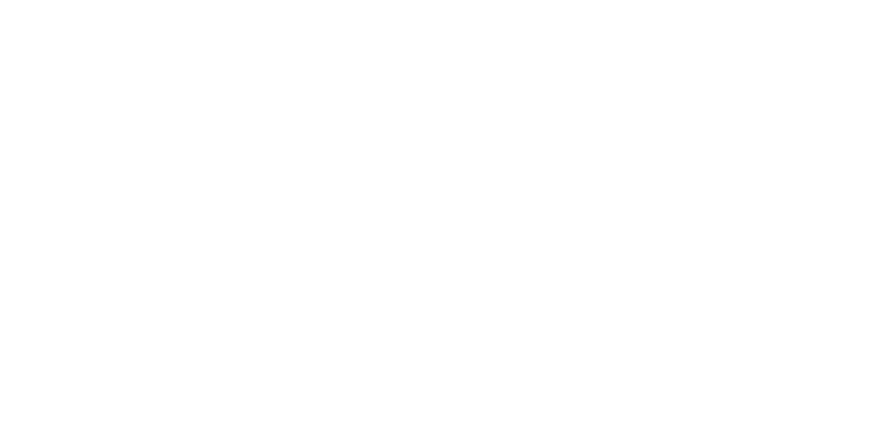 Incentive Merchandise